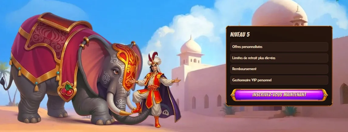 Alawin Casino Programme VIP